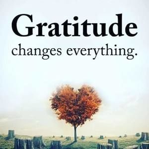 Meet your Posher, Aurora